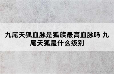 九尾天狐血脉是狐族最高血脉吗 九尾天狐是什么级别